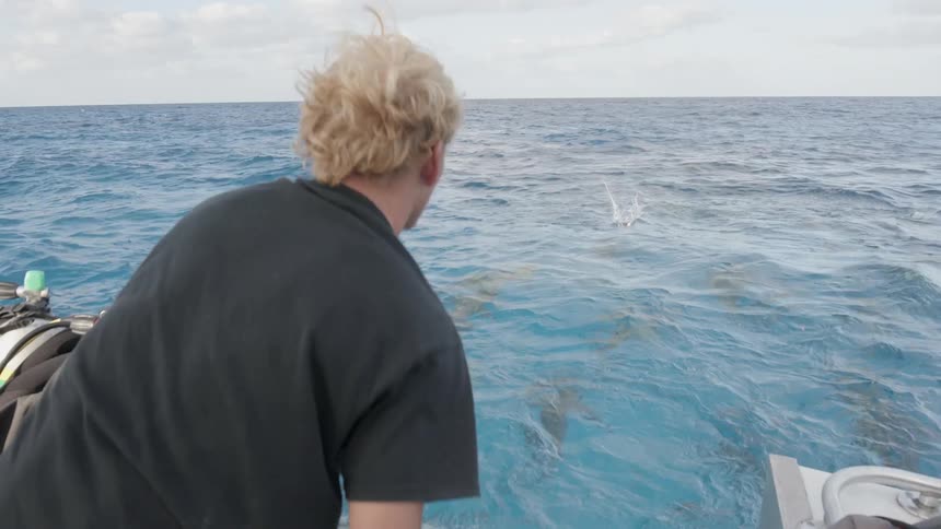 Man on a boat tosses food to a school of sharks