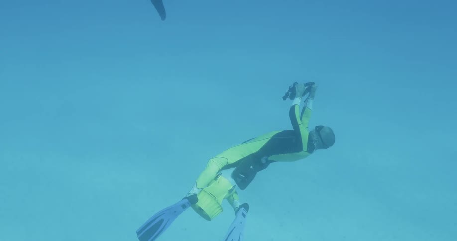 A diver swims with a dolphin in the ocean