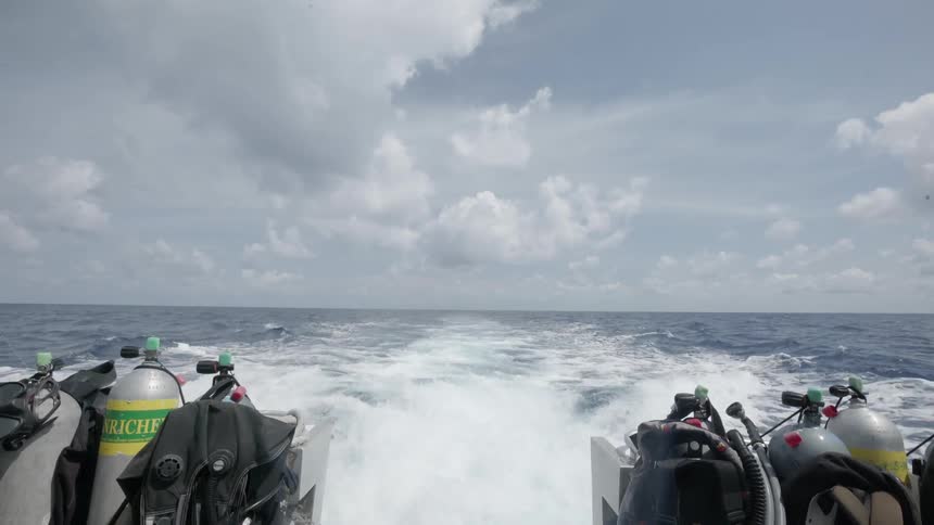 A boat speeds on the water