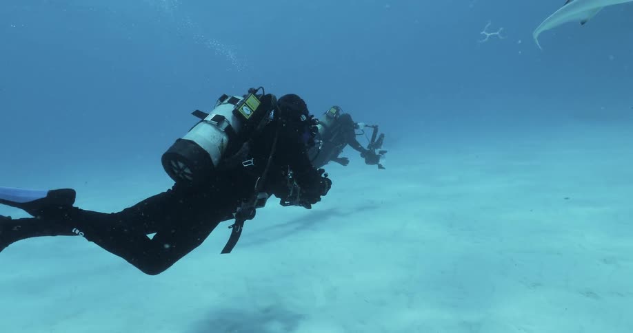Two divers holding cameras are taking up a position on the ocean floor in daylight