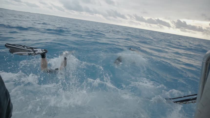Snorkelers on a boat jump into the ocean