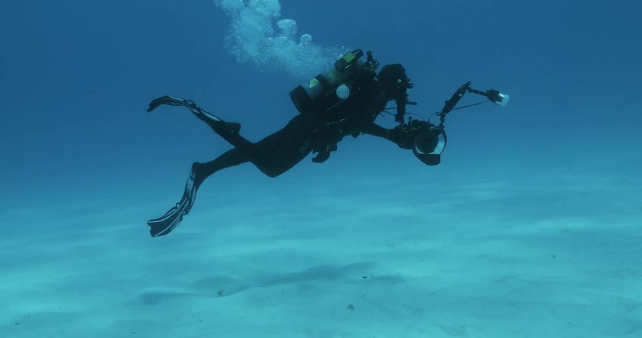 Diver swimming with a camera in clear waters