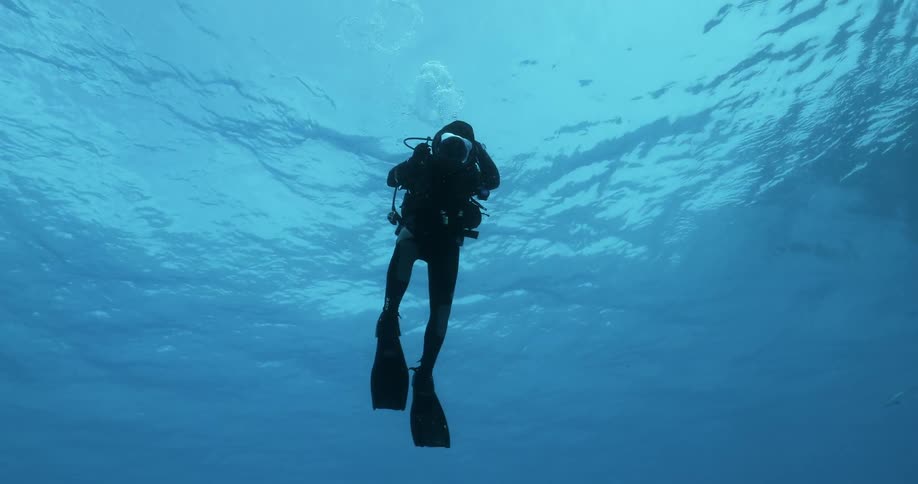 A diver swims in the ocean