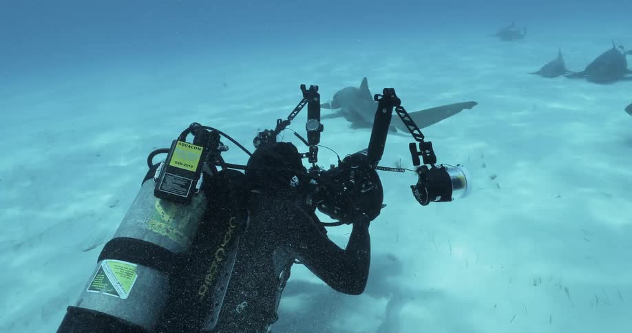 Deep sea diver uses photography equipment at the bottom of the ocean