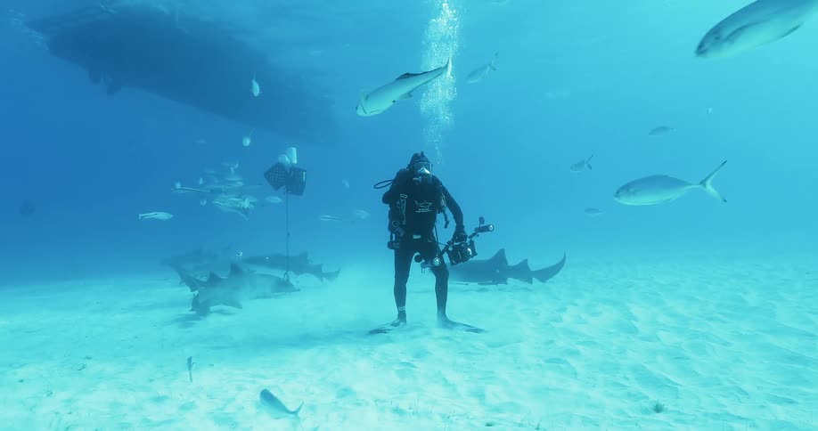 Man walks along the bottom of the ocean as fish swim by