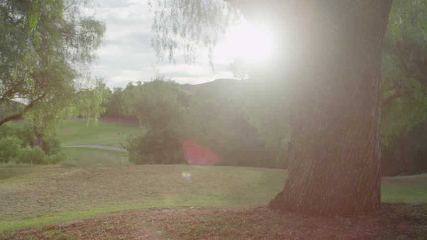 View of a rolling grassy area filled with trees and bushes