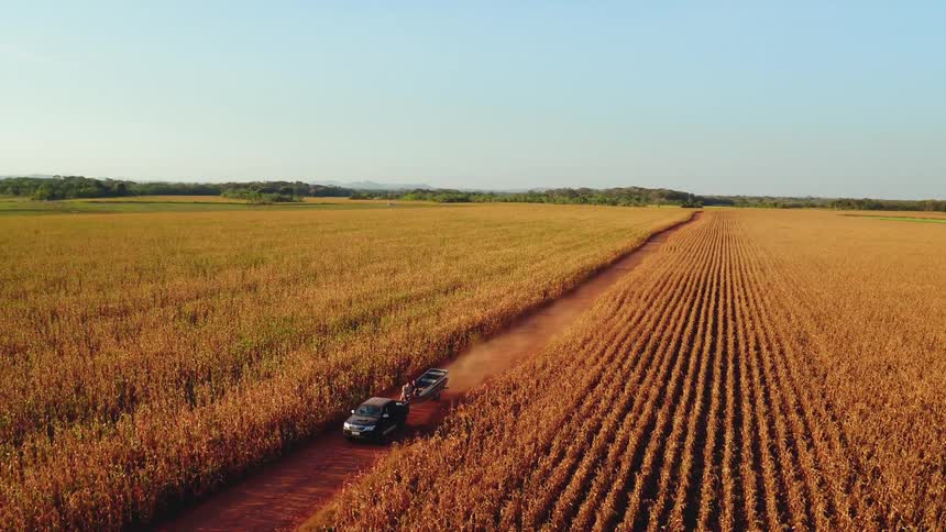 A pickup truck trailing a boat drives a dirt road between crop fields