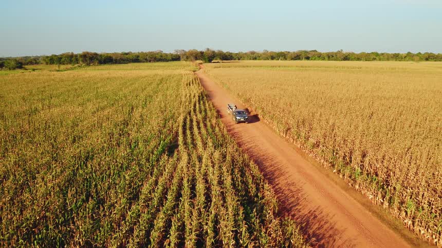 A truck drives down a dirt path on a farm