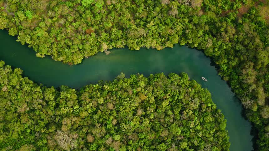 Boat drifts down a tree lined river