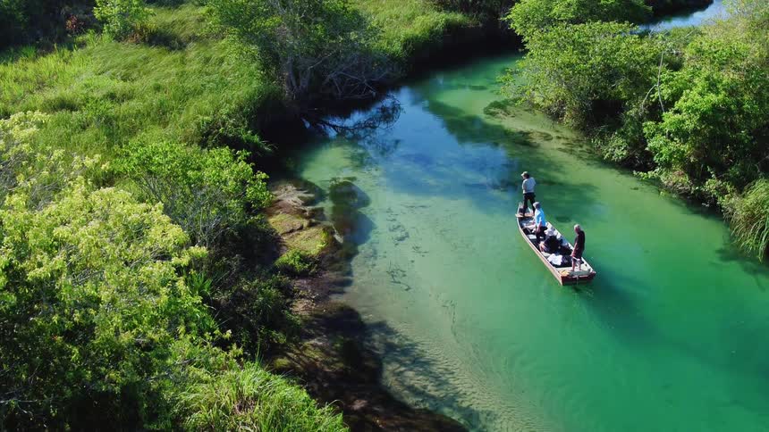 Boat with several people riding on it floats down a narrow tree lined river