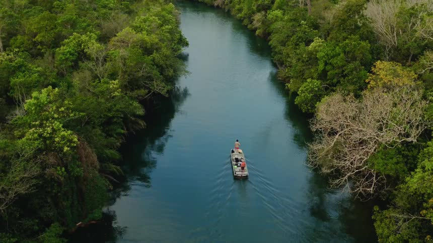 People on a boat moving down a river running through a forest
