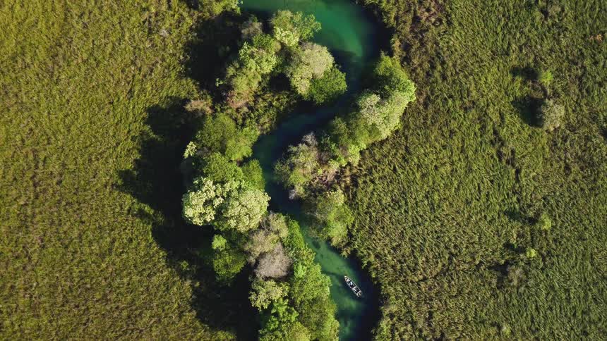 A boat travels down a winding river