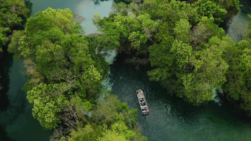 Boat drifts down a tree lined river
