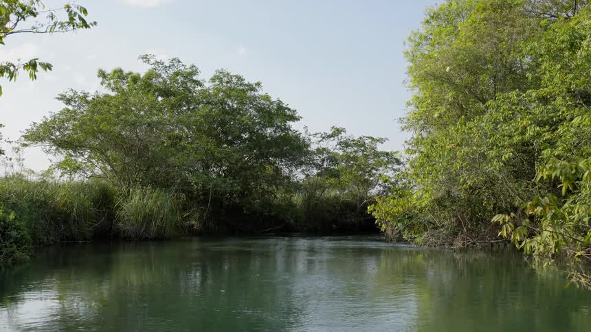 The water is calm near the trees on a cloudy day