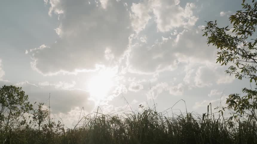 Moving past some tall grass and small trees near a cloudy sunset