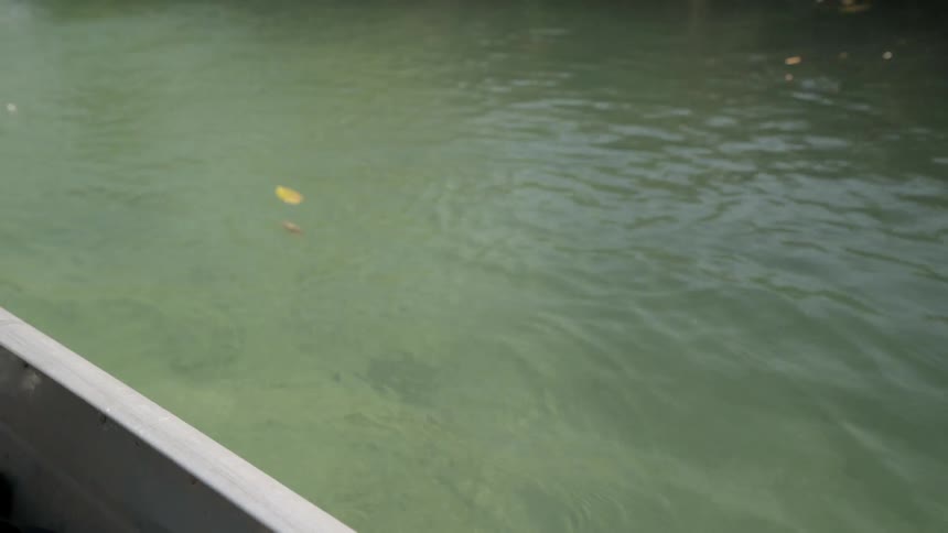 Murky water and the edge of a boat