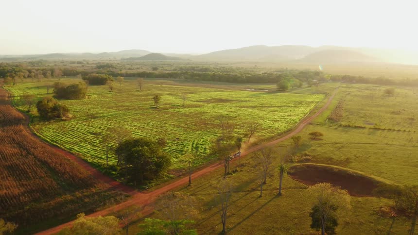 Vehicle travels on a dirt road between green fields