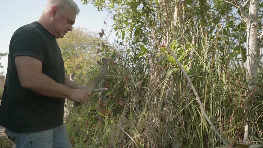 A man chops some shrubs with a machete
