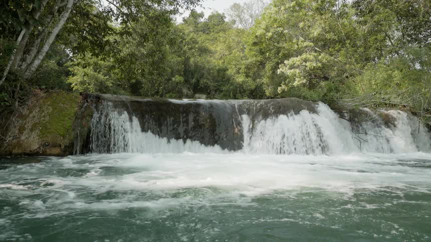 The waterfall is surrounded by tall trees