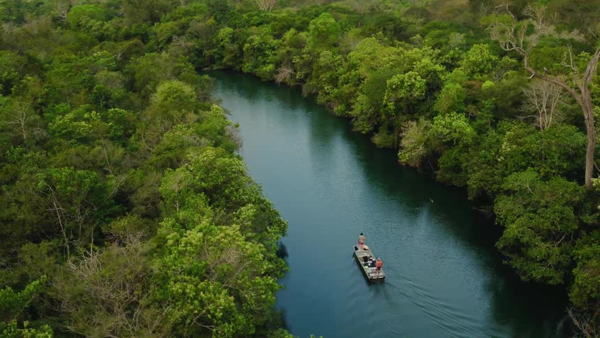 People on a boat stand and point at the tree lined river bank