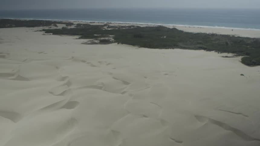 Sand dunes sit back from a beach