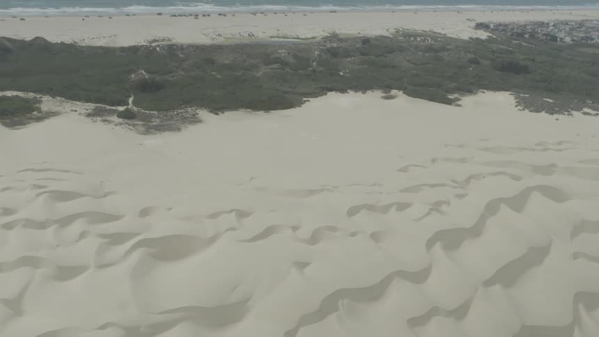 Ripple in sand dunes