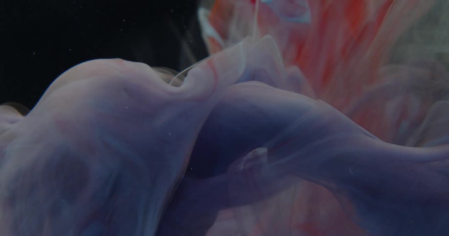 Ribbons of paint float and move in water