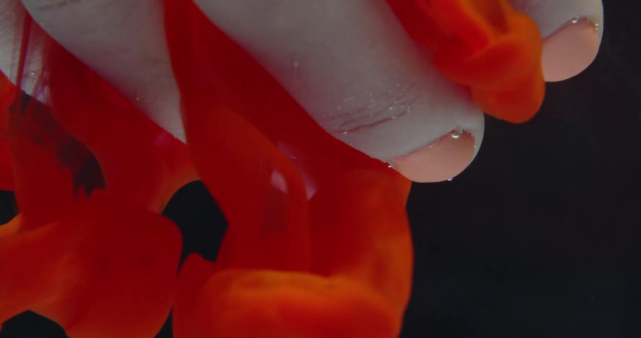 A hand floating in the water has orange ink around it