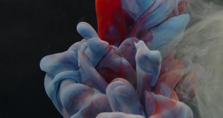 Red and blue liquid combine in a water