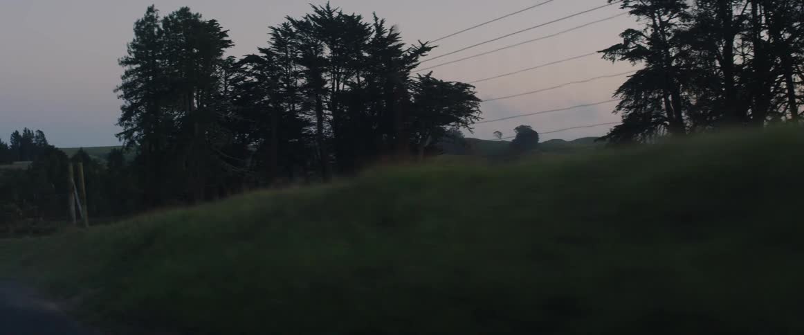 Wire fence at the edge of farmland