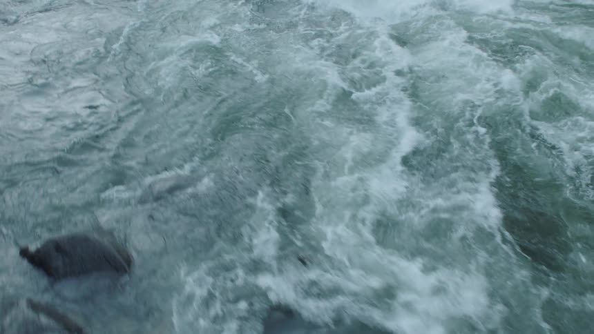 Rapids splashing and flowing along a riverbank