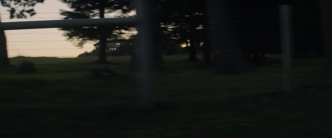 Fences and trees along a roadside at sunset