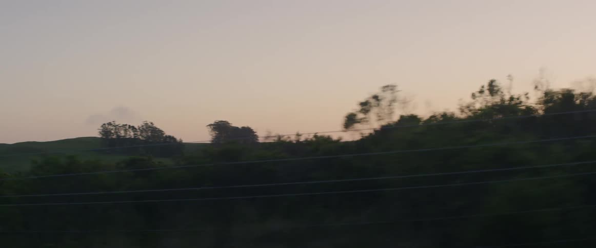 Steel fencing lines the side of a road
