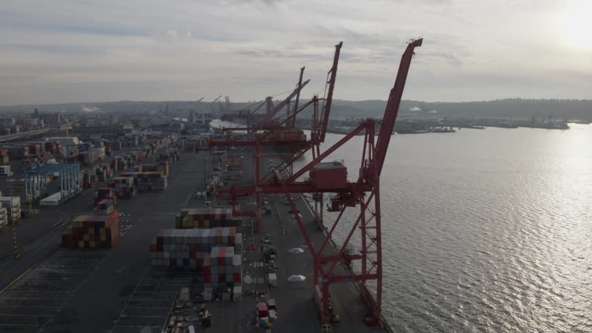 Sunlight glints off the water in front of tall container cranes