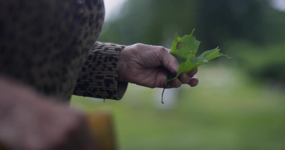 Woman caresses a green leaf