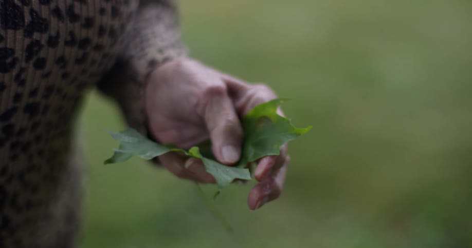 A woman holds and rubs a green leaf in her hand