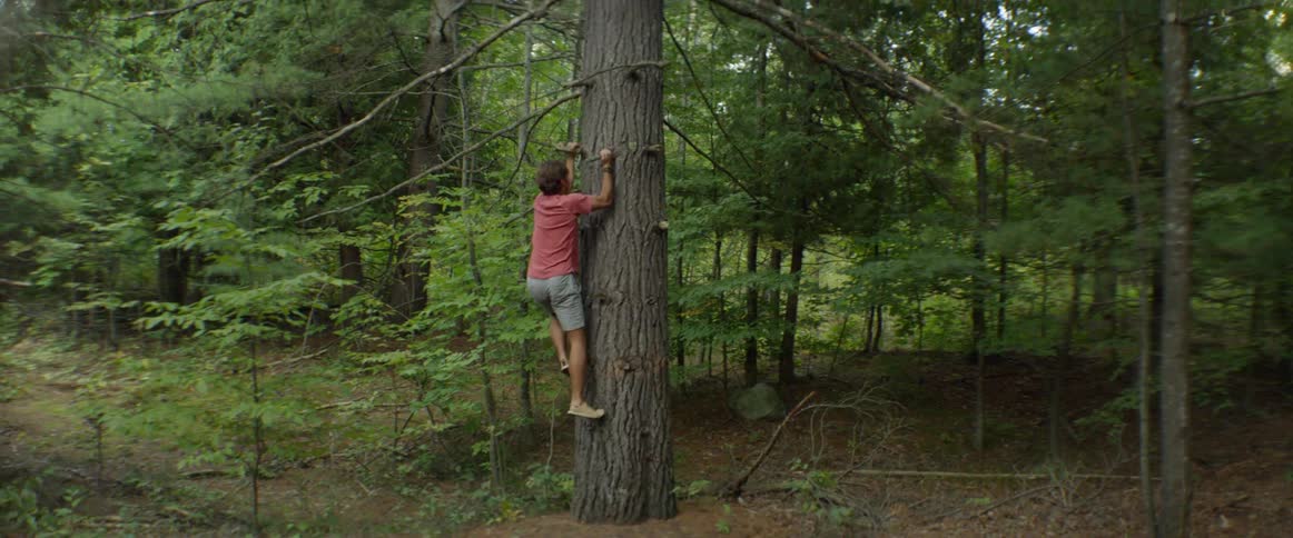 Child climbs a tall tree barefoot