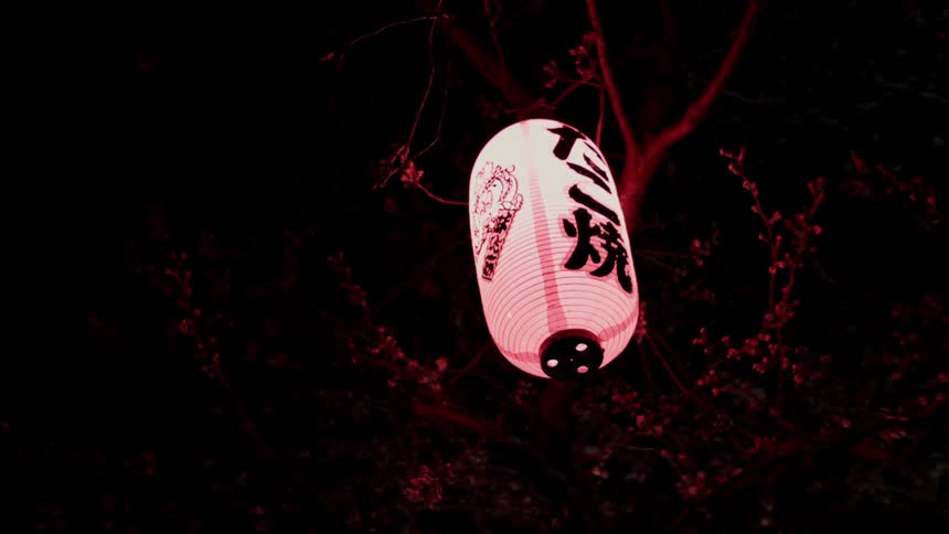 A chinese lantern glows as it hangs from a tree at night