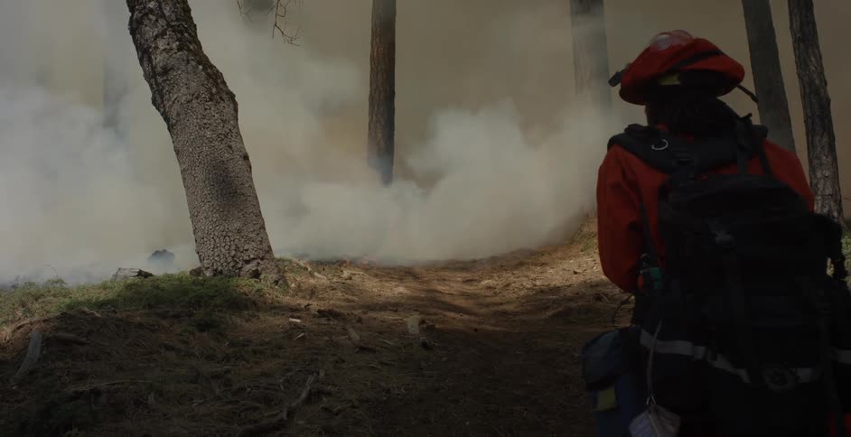 A firefighter is watching as smoke drifts through a stand of trees in daylight