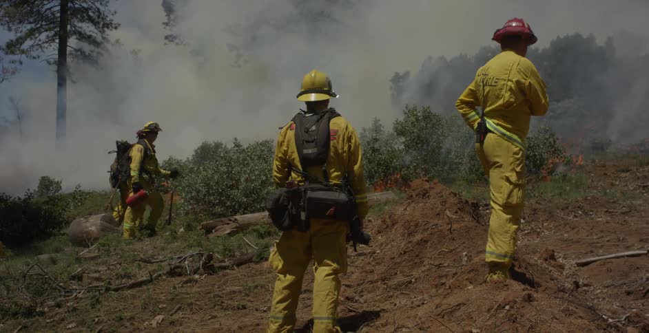 Four firemen standing near the woods with smoke in the air