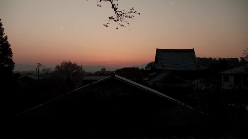 Rooftops and tree branches at sunset
