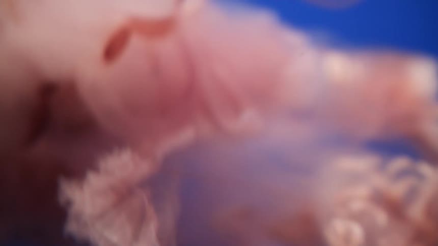 Pink foam floats around and blows gently