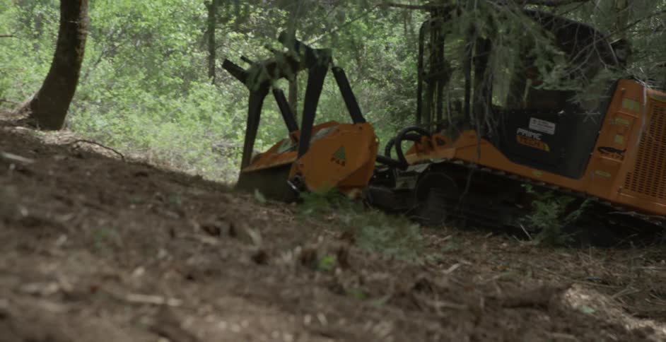 Heavy machinery is operated in a forest