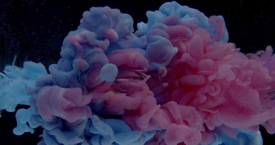 A cloud of colors fill the water