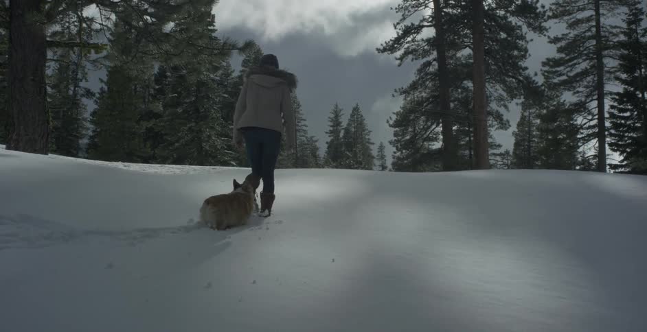 Woman walks with a dog through the deep snow