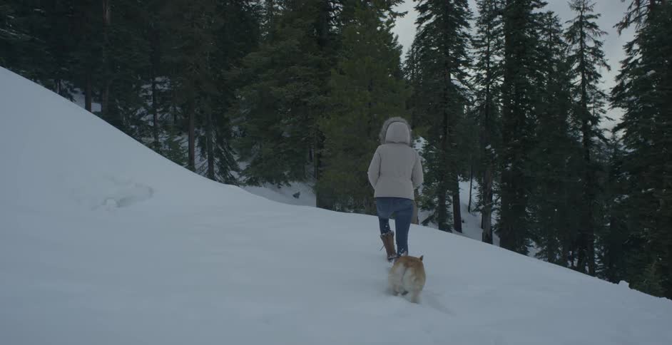 Woman in a hooded jacket walks in the snow with a dog