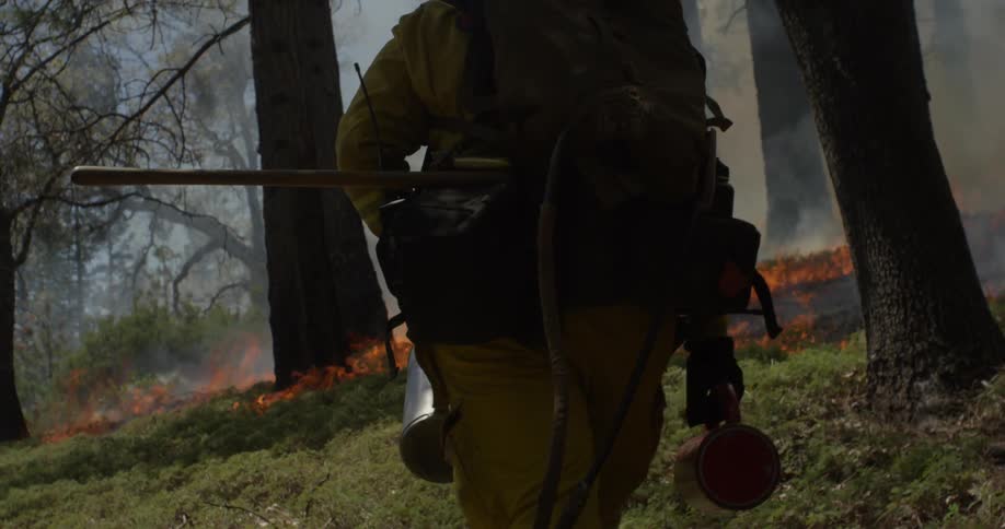 A firefighter walks in a burning forest
