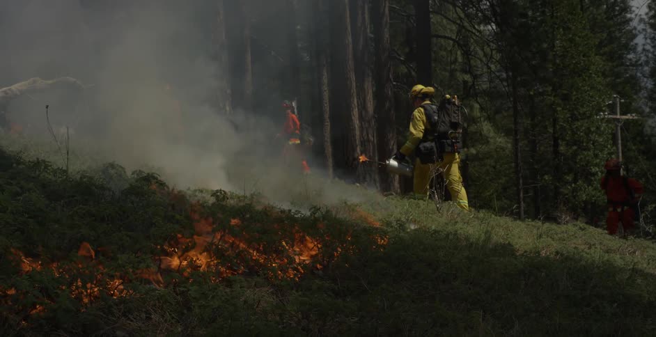 Firefighters are setting fires in the grass