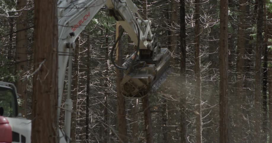 A machine chops down the trees very fast in the forest