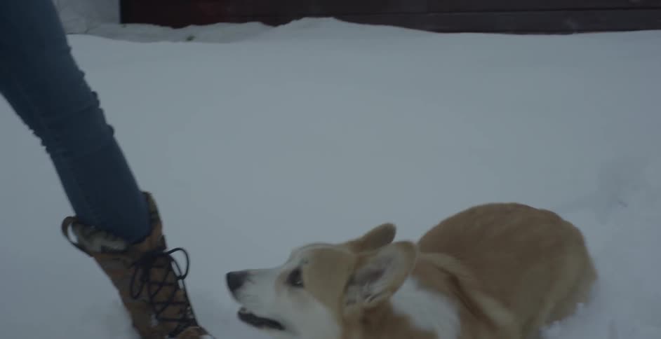 A dog runs through the snow to a woman who leans over and pets it